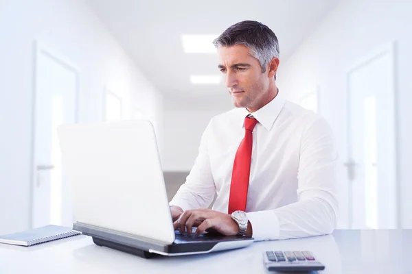 Businessman using laptop