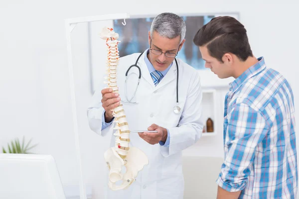 Doctor explaining the spine to patient