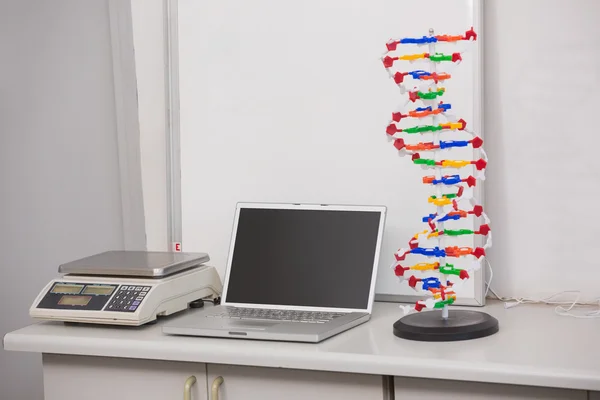 Weighing scale with computer and dna helix