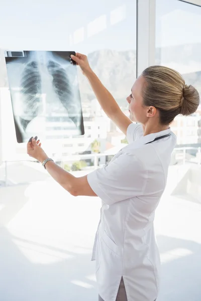 Doctor looking at Xray beside windows