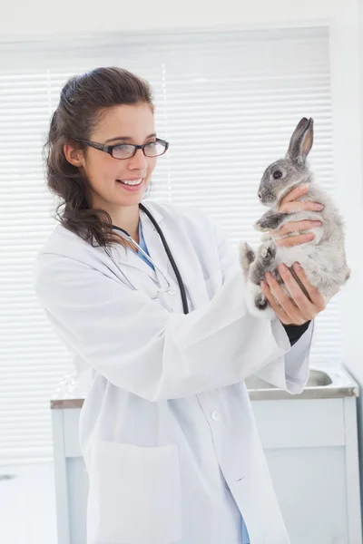 Vet petting bunny