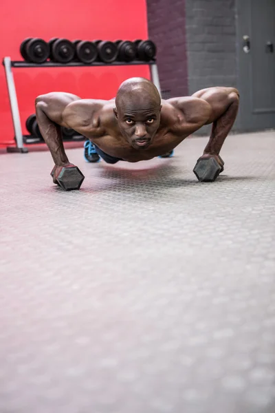 Portrait of muscular man doing push-ups with dumbbells