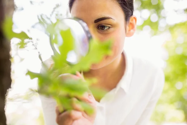 Beautiful brunette looking at plant