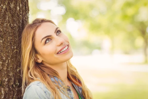 Smiling woman looking up while sitting under tree