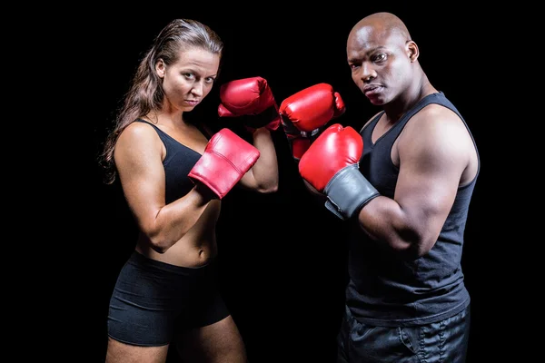 Portrait of male and female athletes with fighting stance