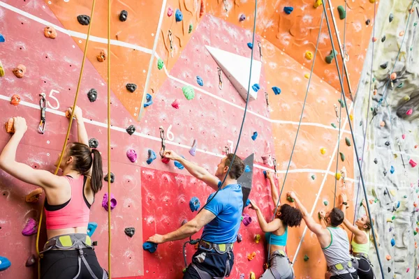 Fit people ready to rock climb