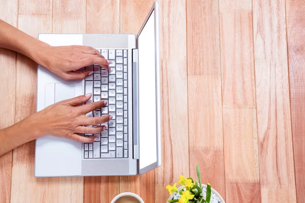 Overhead of feminine hands using laptop