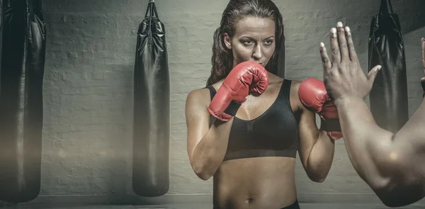 Female boxer with fighting stance against trainer hand