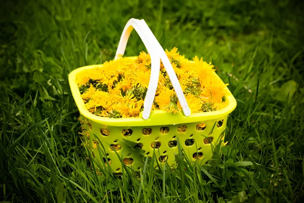 Plastic basket with yellow dandelions on green grass. Shallow de