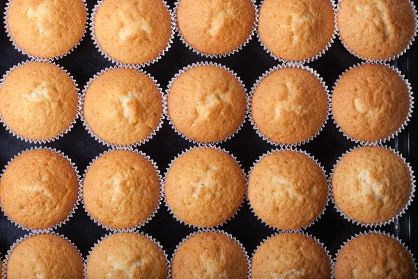 Fresh cupcake desert before decoration. Top view