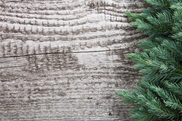 Old wooden background with pine branch, image of flooring board