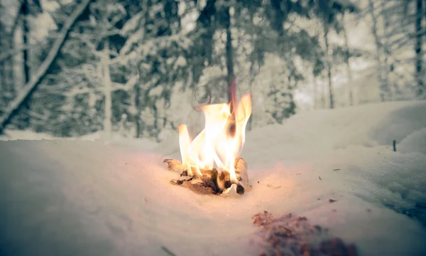 Bonfire on a snowy clearing in the woods. Toned