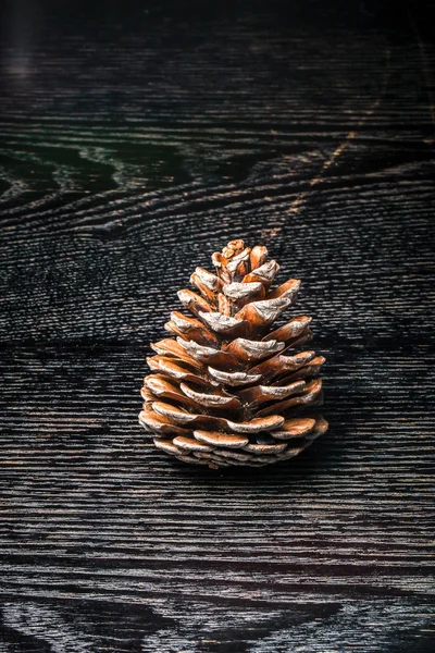 Pine cone on a black table or board like background. Toned