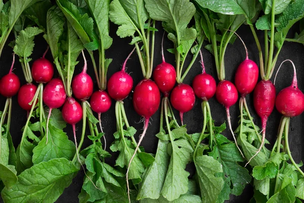 Fresh radishes on black rustic background.