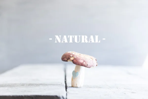 Natural food idea , text and and mushrooms