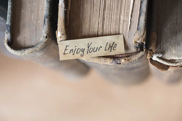 Enjoy your life quote