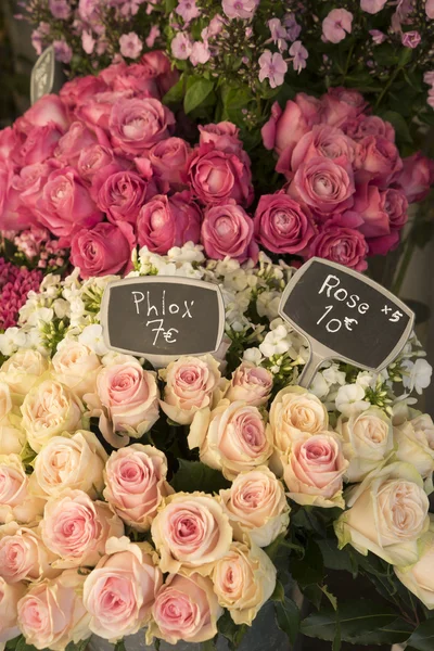 Roses for sale in Paris flower shop