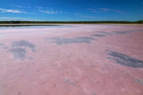 View of pink salt lake at Coorong National Park in South Australia