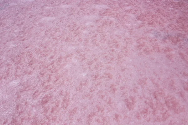 Wet salt lake appearing pink due to algae called Dunaliella salina at Coorong National Park