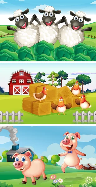 Farm animals living in the farmyard