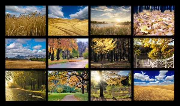 Photos with autumn landscapes