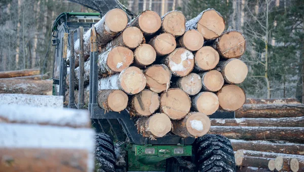 Snow log stack lumber in winter.