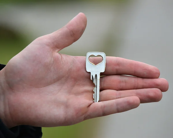 Hand holding key isolated on gray background