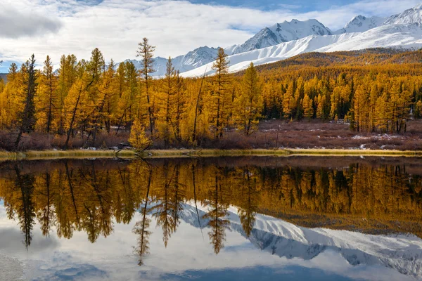 Golden autumn in Altai