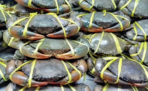 Fresh Crab in sea food market