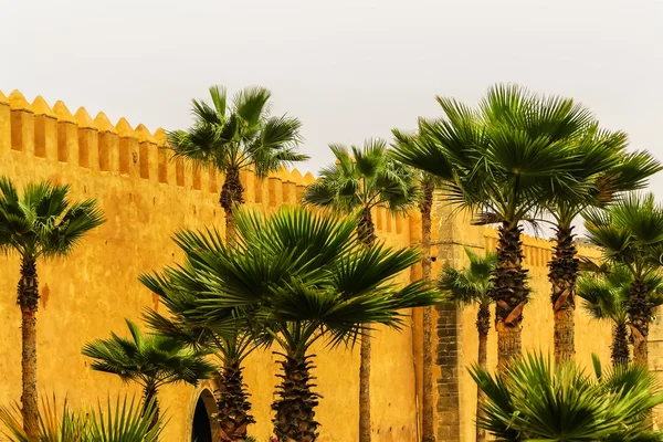 Palace wall in Rabat, Morocco