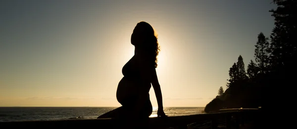 Pregnant Mother Silhouette