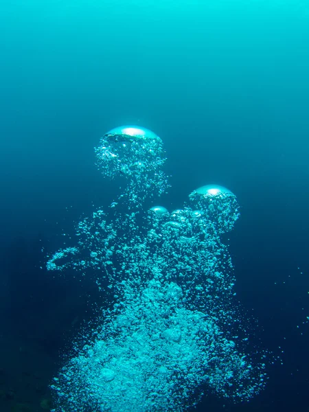 Bubbles from a SCUBA diver