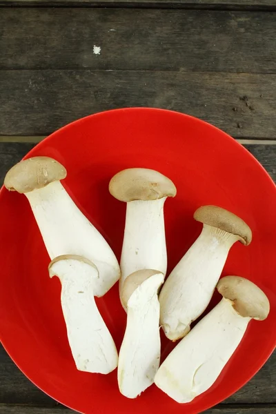 King oyster mushroom -  Eryngii mushroom