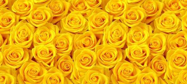 Yellow roses seamless pattern