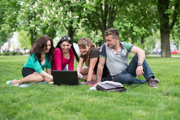 Group of Teenage Students at Park with Computer and Books