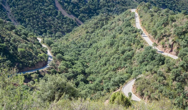 Top view of ascending mountain road with curves
