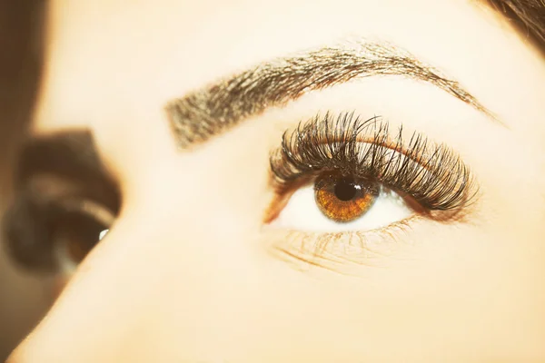 Eye Makeup. Beautiful Eyes Make up detail, eyelash extension