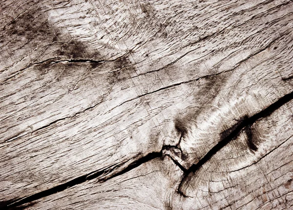 Cracks in old oak wood