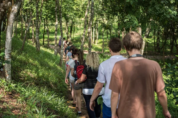 Tourists Visiting My Son Sanctuary