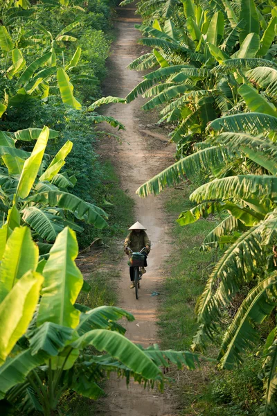 Woman on bike. Hanoi, Vietnam.