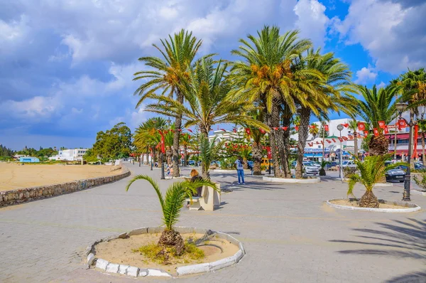 HAMMAMET, TUNISIA - Oct 2014: Street with date palms, trees and white buildings on October 6, 2014