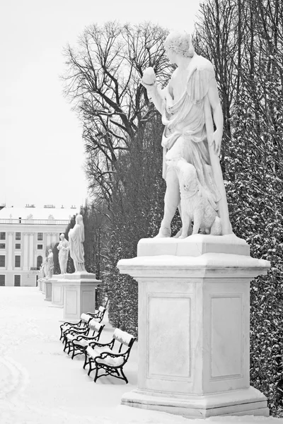 VIENNA,AUSTRIA - JANUARY 15, 2013: Statue of Paris with the dog by Veit Koniger in gardens of Schonbrunn palace in winter. Statues was generally made between 1773 and 1780.