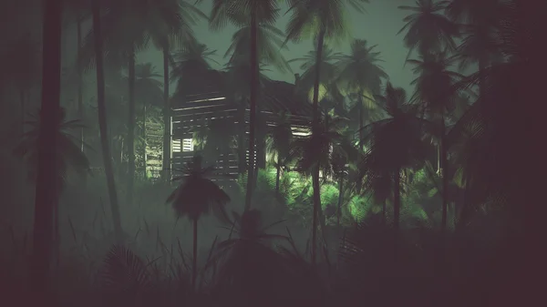 Abandoned old wooden cabin in remote palm tree jungle at night.