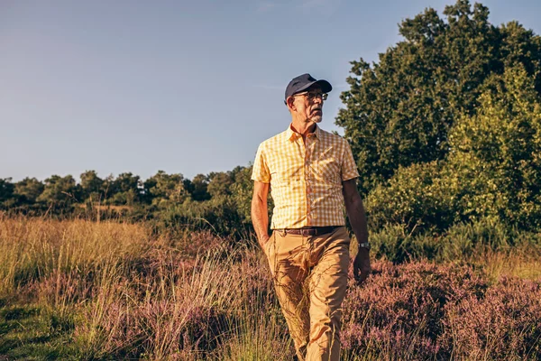 Retired man walking in heathland.