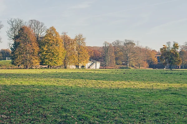 Estate with meadow and trees in autumn.