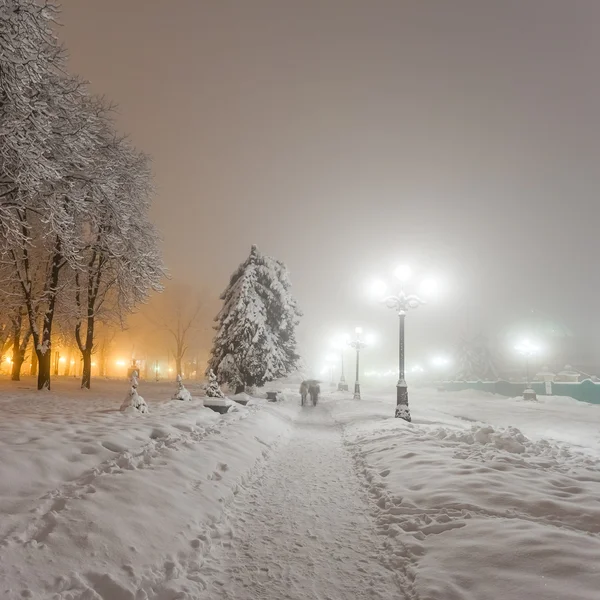 Winter city park at night. Kiev, Ukraine
