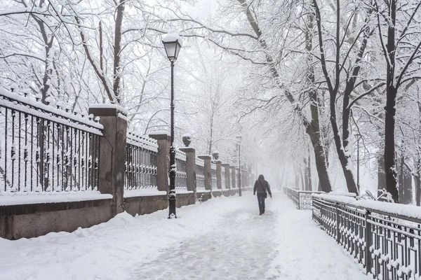 Winter city park in morning