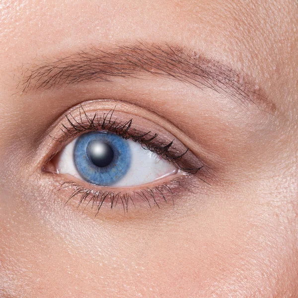 Close up of a blue woman eye