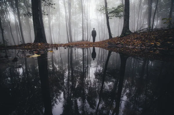 Lake in forest with man reflection