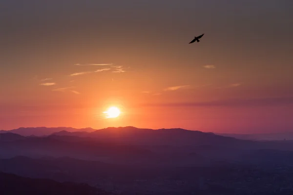 Beautiful sunrise over mountains with bird flying